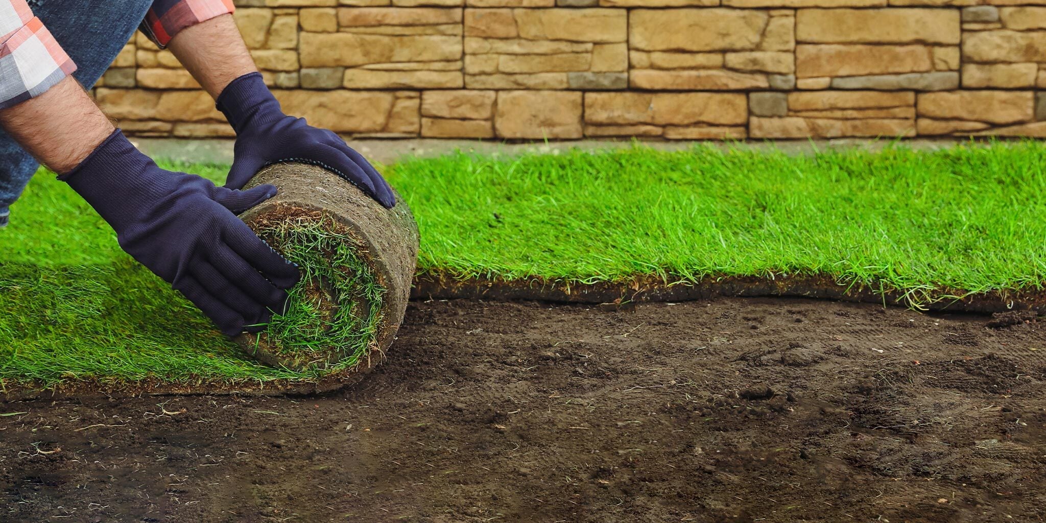 Fresh Turf, Farm to Lawn