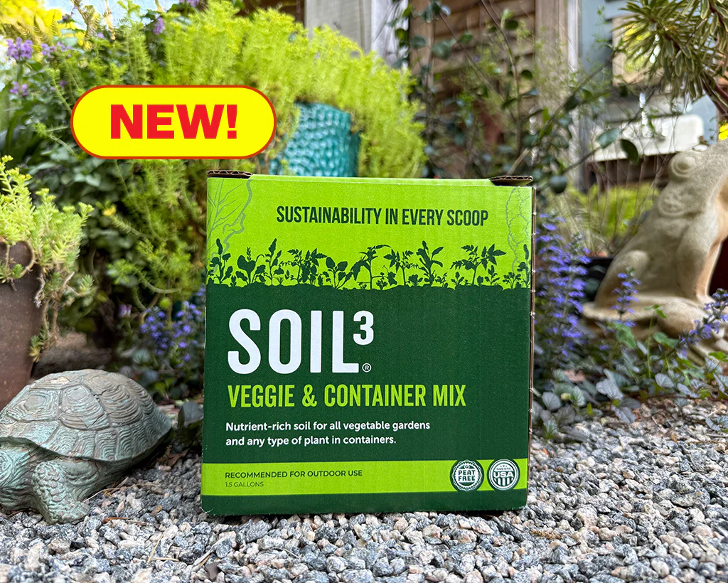 New Lawn Prep - Sod & Seed